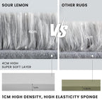Sour Lemon 8x10 Area Rugs for Bedroom, Living Room Fluffy Rugs, Large Area Rug - Image 6