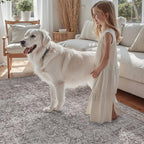 DCX Gray 5x7 Rug, Kid & Pet Friendly - Image 5