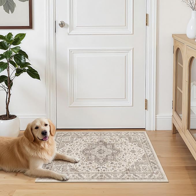 Vintage Living Room Area Rug 3x5 - Image 7