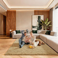 5x7 Area Rugs for Living Room, Large Fluffy Rugs for Bedroom, Fuzzy Shag Soft by Unknown