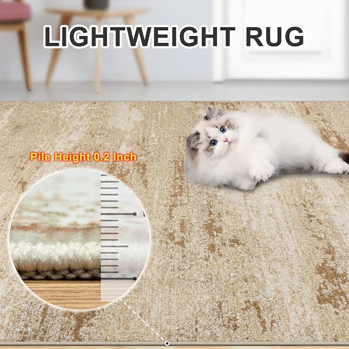 Area Rugs 10x14 Living Room - Image 6