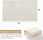 Pauwer 3x5 Washable Area Rugs for Living Room Modern Beige Solid Color Soft - Image 2