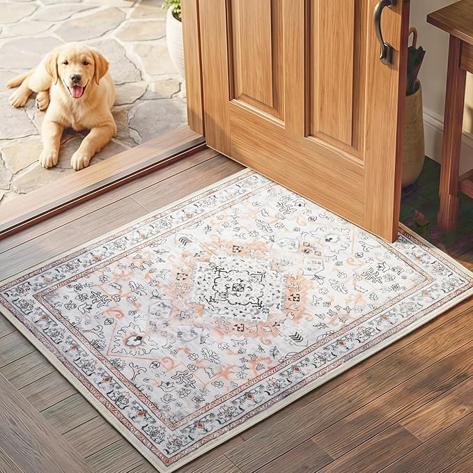HOOBRO 2 x 3 Area Rugs Washable, Small Rugs by HOOBRO