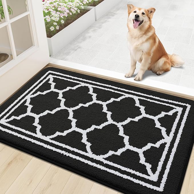Buganda Indoor Door Mat, Dirt-Resistant and Absorbent Doormat, Low Profile by Buganda