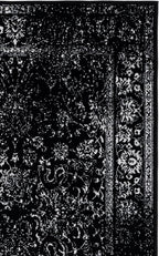 SAFAVIEH Adirondack Collection Area Rug - Image 3