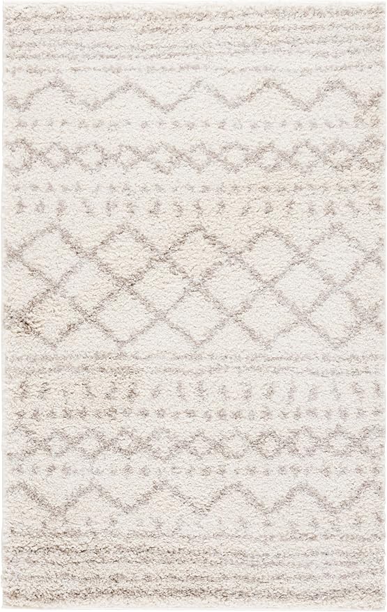 SAFAVIEH Area Rug 4x6 - Image 2