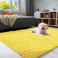 OLANLY 3x5 Machine Washable Small Bedside Rug, Soft Fluffy Shaggy Rugs by OLANLY