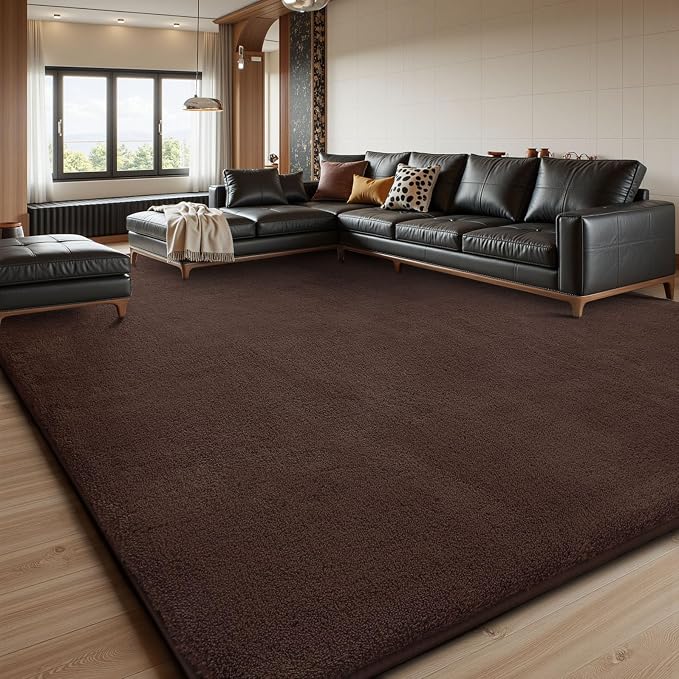 Sour Lemon 8x10 Area Rugs for Living Room, Soft Large Area Rug Fluffy Rugs for by SourLemon