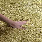SAFAVIEH California Shag Collection Area Rug - Image 9