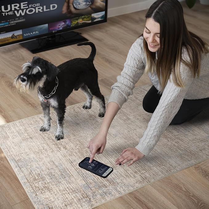 Washable Entryway 2x3 Area Rug: Small Abstract Kitchen Rugs - Image 7