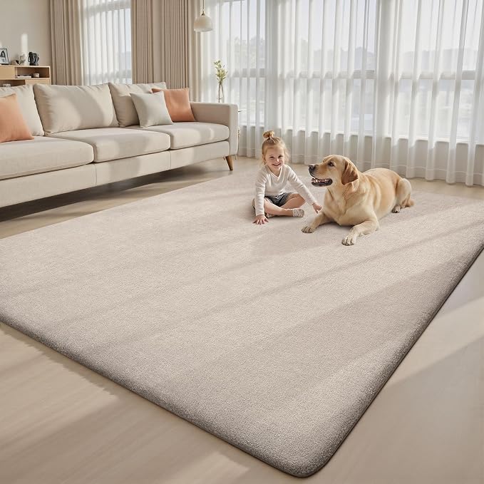Sour Lemon 8x10 Area Rugs for Living Room, Soft Large Area Rug Fluffy Rugs for - Image 7