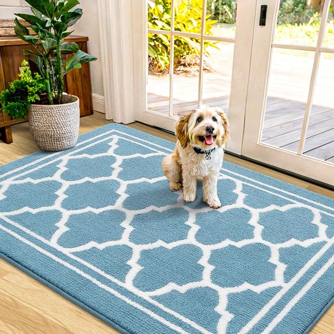 Buganda Indoor Door Mat, Dirt-Resistant and Absorbent Doormat, Low Profile by Buganda