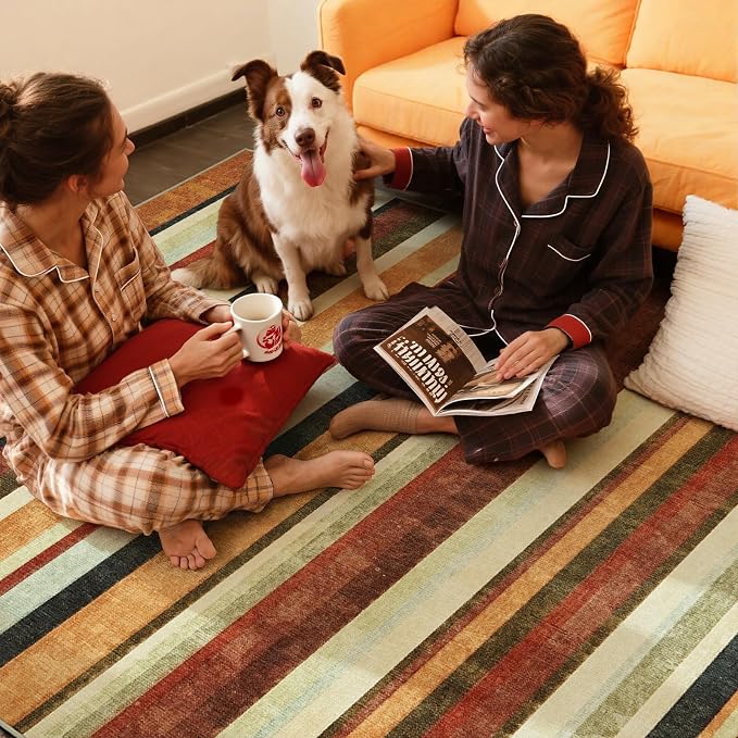 jinchan 5x7 Area Rug Modern Striped Rug Washable Rug Soft Large Indoor Floor - Image 4