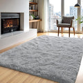 Zentavio Area Rugs for Living Room Grey Rugs for Bedroom 4x6 Carpet Fluffy by ZentavioRug