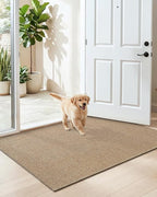 DEXI Ultra Thin Door Mat Indoor Entrance 32x48, Non Slip Rubber Backed Entryway - Image 9