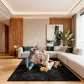 5x7 Area Rugs for Living Room, Large Fluffy Rugs for Bedroom, Fuzzy Shag Soft by Unknown