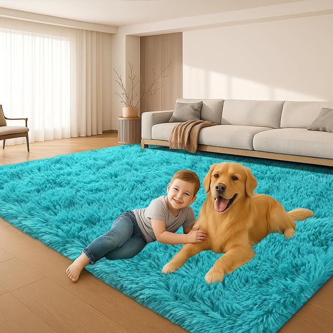 Fluffy Plush Shag Rug 5x7, Ultra Soft Rug by Mtandyx