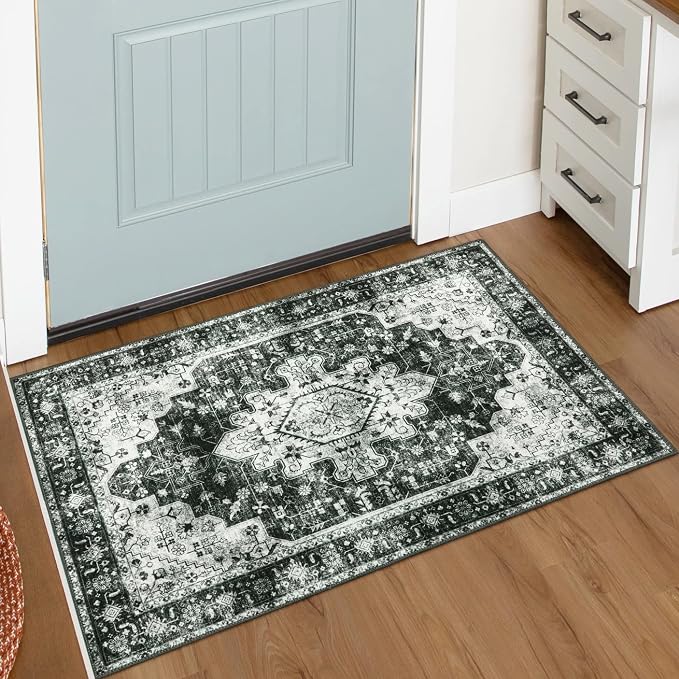 Moynesa Washable 2x3 Entryway Rug Small Front Door Mat, Distressed Low Pile by Moynesa