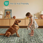 Lofus 5x7 Area Rug for Living Room, Soft Boho Carpets for Bedroom Dining Room - Image 5