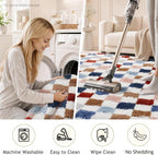 Ophanie Checkered Rainbow Rug for Living Room Bedroom, Colorful Fluffy Soft - Image 6