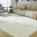 Ultra Soft Rug for Living Room, 4X6 Fluffy Shag Area Rug for Bedroom, Modern by Fairblink
