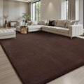 Sour Lemon 4x6 Area Rugs for Living Room, Soft Area Rug Fluffy Rugs for by SourLemon