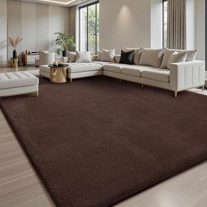 Sour Lemon 4x6 Area Rugs for Living Room, Soft Area Rug Fluffy Rugs for by SourLemon