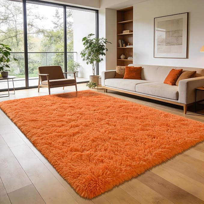 Andecor Shag Area Rug for Living Room, 4x6 Feet Orange Soft Fluffy Indoor Plush by Andecor