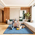 5x7 Area Rugs for Living Room, Large Fluffy Blue Rugs for Bedroom, Fuzzy Shag by Unknown