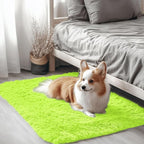 OLANLY 2x3 Machine Washable Small Bedside Rug, Soft Fluffy Shaggy Entryway by OLANLY
