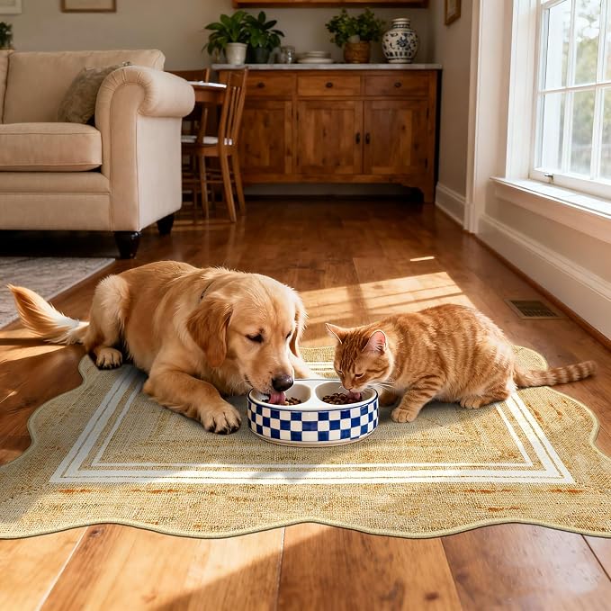 Front Door Rug - 2x3 Jute-Look Washable Doormat Indoor Outdoor Entrance - Image 6