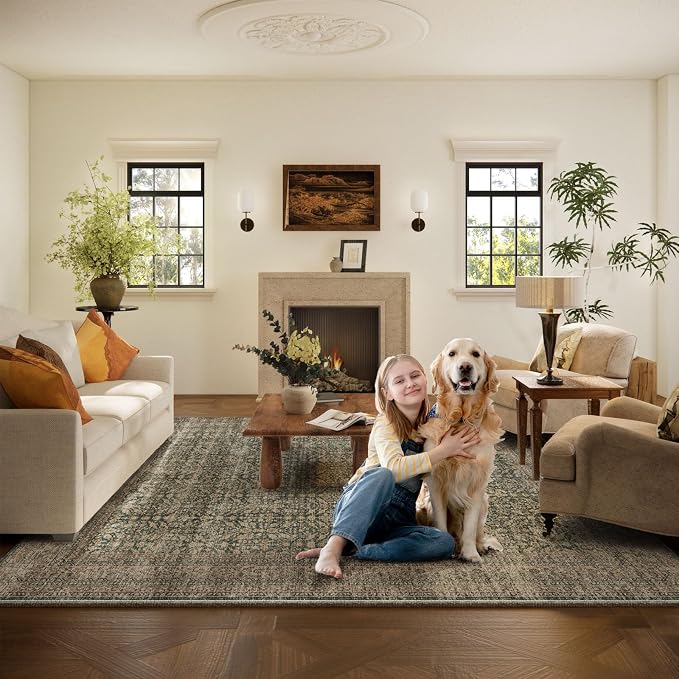 Machine Washable Rugs for Living Room: 5x7 Area Rugs Boho Vintage Rugs Stain - Image 8