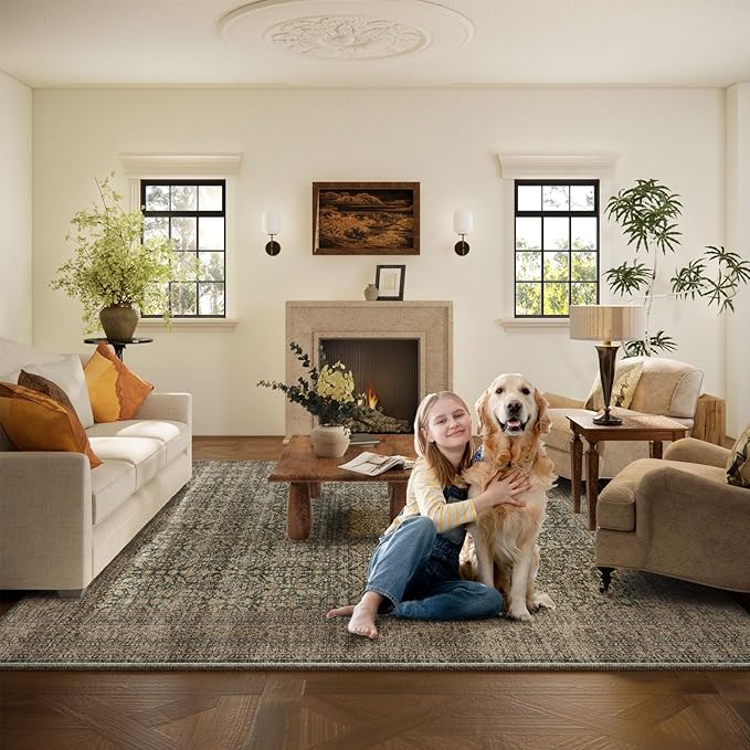 Machine Washable Rugs for Living Room: 9x12 Area Rugs Boho Vintage Rugs Stain - Image 6