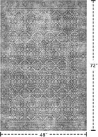 Latte&Fog 4x6 Rug for Living Room, Vintage Grey Washable Area Rug, Boho Floral - Image 2