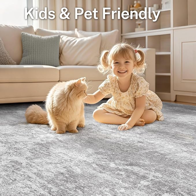 Area Rug Living Room - Image 5