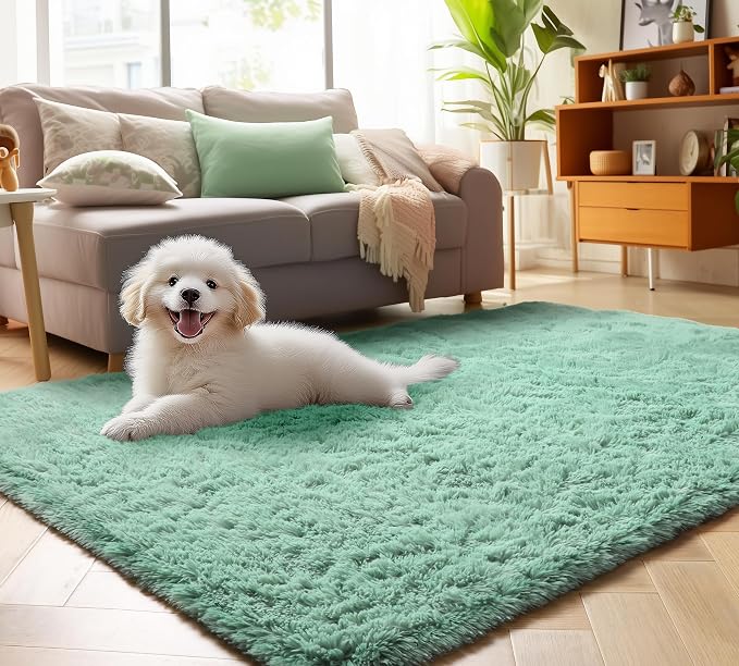 ONASAR Sage Green Area Rugs for Bedroom Living Room, 4x6 Fluffy Cute Indoor by ONASAR