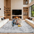 Area Rugs 9x12 Living Room, Large Fluffy Rugs by Unknown