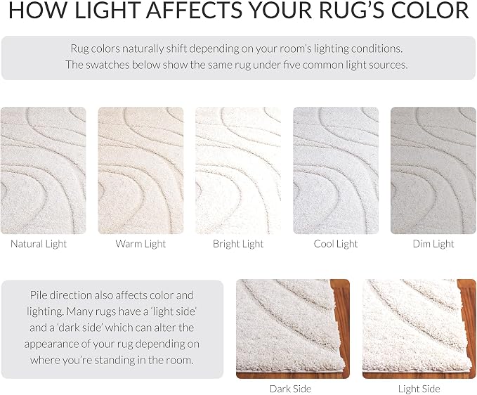 SAFAVIEH Florida Shag Collection Area Rug - Image 9