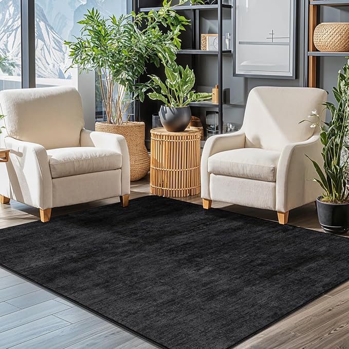 LIANLAM Washable Rug 4x6 Area Rugs by LIANLAM