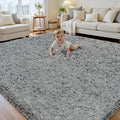 6x9 Area Rug for Living Room, Ultra Soft Fluffy Shag Rugs for Bedroom, Non-Slip by Yidanamy