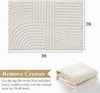 Pauwer 2x3 Washable Area Rugs for Living Room Modern Beige Solid Color Soft - Image 2
