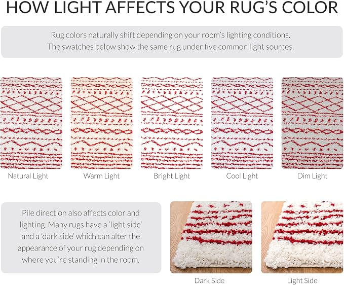 SAFAVIEH Arizona Shag Collection Area Rug - Image 10