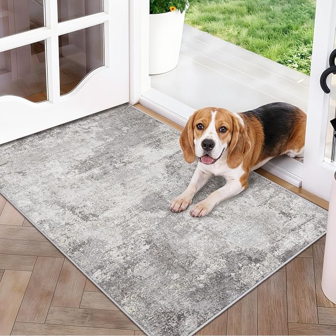 Modern Abstract 2x3 Rug Washable Non-Slip Small Area Rug by BYYVOORugsforYourHome