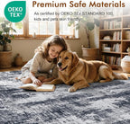 6x9 Ft Area Rugs for Living Room, Soft Non-Slip Washable Rugs Modern Abstract - Image 4