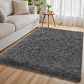 4x6 Area Rug for Living Room, Ultra Soft Fluffy Shag Rugs for Bedroom, Non-Slip by Yidanamy