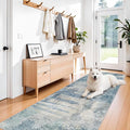 3x10 Extra Long Runner Rug Non-Slip Washable by BYYVOORugsforYourHome