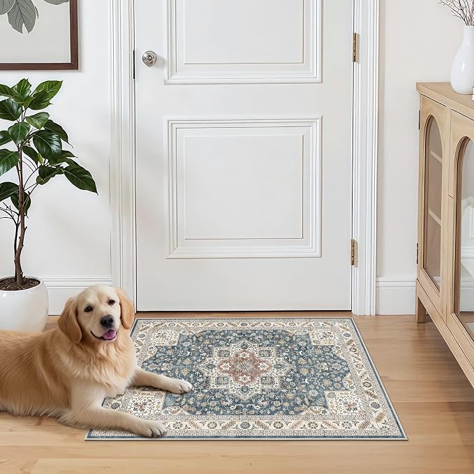Vintage Living Room Area Rug 3x5 - Image 7
