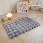 Gray Rabbit Plush Rug 2'x3', Fluffy Shaggy Area Rug - Image 4