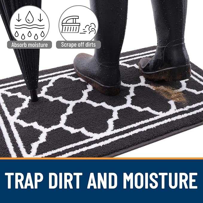 Buganda Large Indoor Door Mat, Dirt-Resistant and Absorbent Doormat, Low - Image 2