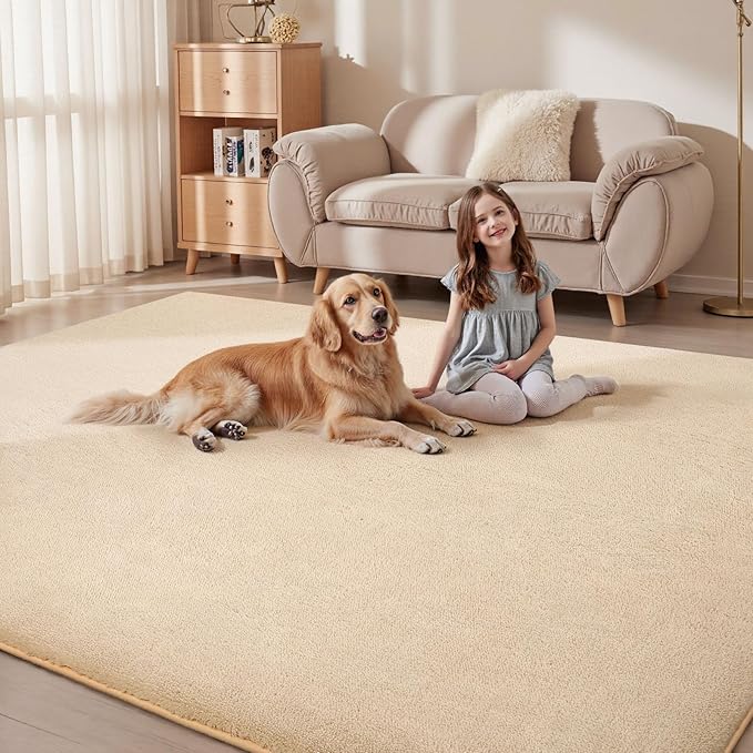 Sour Lemon 5x7 Area Rugs for Living Room, Soft Large Area Rug Fluffy Rugs for - Image 6